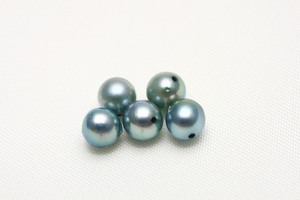 アコヤ真珠パールルース　両穴　5ピース　5.0-5.5mm　ブルーグリーンカラー