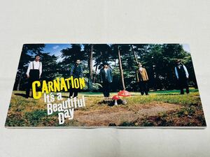 CARNATION★カーネーション★it