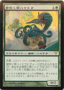 MTG　芽吹く草ハイドラ　在庫日1枚まで　ディセンション DIS　★他多数出品中