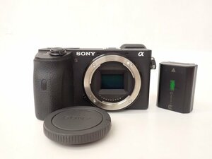 SONY ソニー ミラーレス一眼カメラ α6600 ILCE-6600 ボディ バッテリー付き Eマウント □ 6FD44-1