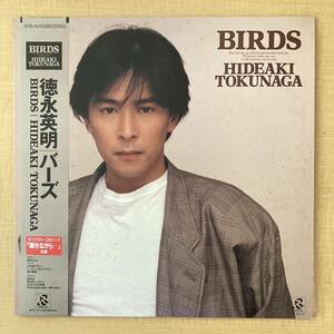 《帯付・良盤》徳永英明『バーズ』LP〜輝きながら/鈴木キサブロー/BIRDS/にほ