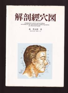 解剖経穴図 森秀太郎著　医道の日本社　(鍼灸　整体