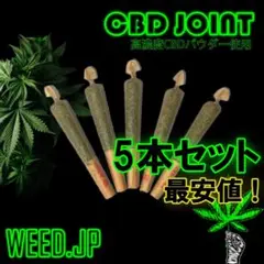 CBDジョイント 5本セット(完成品)