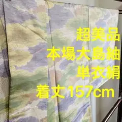 超美品　本場大島紬　絹　単衣　着物 伝統工芸品 157  パステル　個性的