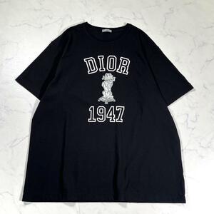 新作Christian Dior 24ss ダメージ加工　BOBBY Tシャツ