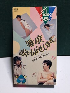 毎度おさわがせします中山美穂木村一八堀江しのぶ八神康子高田純次長与千種夏木マリ清水宏次朗高速有鉛暴走族GX71マークⅡハチマルヒーロー