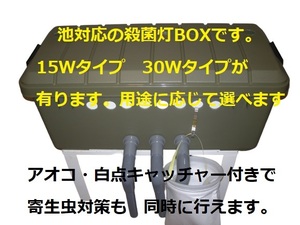 池対応　 殺菌灯BOX ワイドセット 殺菌灯15W ポンプ　プレフィルター　アオコ白点キャッチャー付き　14