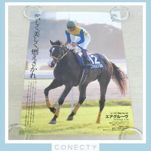 JRA ポスター ヒーロー列伝 44 エアグルーヴ B3サイズ 競馬【SK【S2