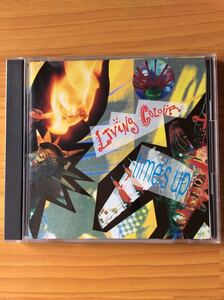 【CD国内盤】LIVING COLOUR／time