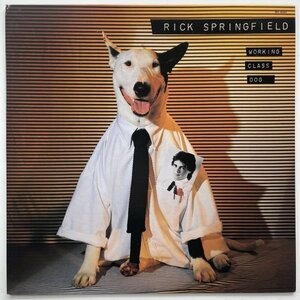 4304 ★美盤 ※未使用に近い Rick Springfield/Working Class Dog