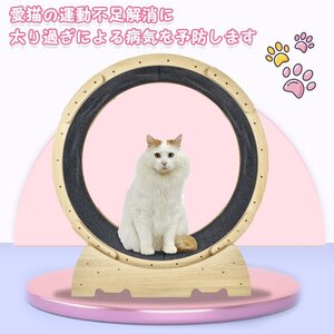 1円 猫 トレッドミル キャット ホイール 安い ローラー ルームランナー 回し車 観覧車 安全 エクササイズ ランニング ペット pt071