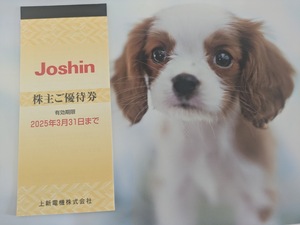 【送料無料】 上新電機 株主優待 5000円分 Joshin ジョーシン