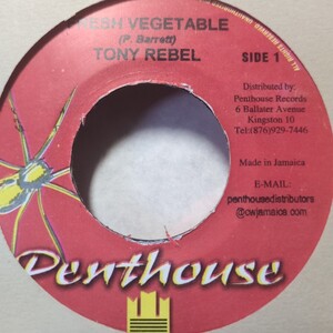 Tony Rebel / Fresh Vegetable Love I Can Feel Riddim 