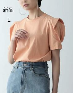 シルケットパワショルデザインカットソーTシャツ　オレンジ　L