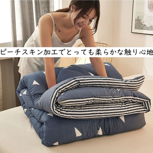 あったか 掛け布団 軽量 柔らかな肌触り 中綿使用 布団 ふんわり ほこりが出にくい ピーチスキン 保温 ふとん オールシーズン