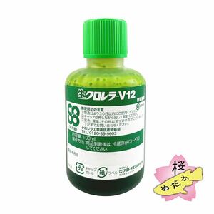 【桜めだか】生クロレラ V12 観賞魚用 / 100ml クロレラ工業 (ミジンコ・ワムシ培養)