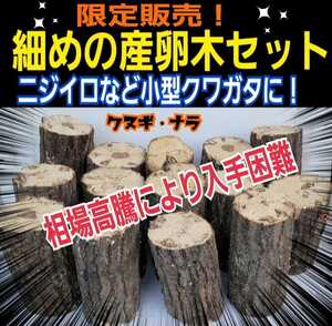 細めの産卵木【4本セット】クヌギ・ナラ☆ニジイロクワガタやコクワなど小型種に最適です！直径7～10センチ☆長さ約13～14センチ 入手困難