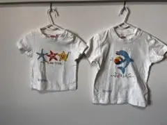 スター・フィッシュ　90cmとドルフィン 120cm Tシャツ2枚セット