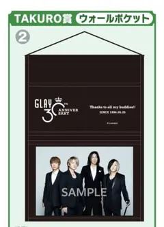 ★GLAY 30th★TAKURO賞★ウォールポケット