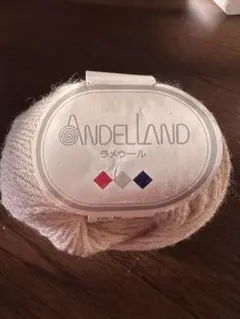 ANDELLAND 毛糸 クリーム色 40g