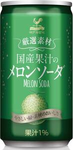 国産果汁メロンソーダ 神戸居留地 厳選素材 国産果汁の メロンソーダ 缶 185ml×20本 [ 国産 メロン果汁 使用 国内製造