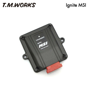 T.M.WORKS イグナイトMSI bB NCP34 1NZ-FE H13.6～