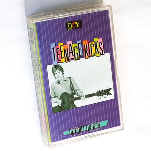 《Rhino編集UKパンク〜パブロックのコンピ/US版カセットテープ》D.I.Y.: Teenage Kicks - UK Pop 1 (1976-79)/Only Ones/XTC/Undertones