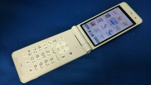 DG4632 docomo FOMA P-01E Panasonic パナソニック ガラケー ケータイ 折り畳み式 簡易動作確認＆簡易清掃＆初期化OK 判定○ 送料無料　