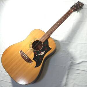 DOVEタイプピックガード装備 YAMAHA FG-151 アコースティックギター ヤマハ 楽器/170サイズ