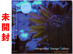 ★未開封★寄り添う音の波動のどこまでも青く透明なアンビエント★大岡英介『Underground Storage Gallery』EISUKE OOOKA★同梱応談