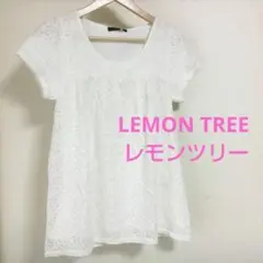 LEMON TREE  レモンツリー   トップス  未使用品タグ付  Mサイズ