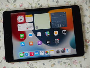 ☆彡 超美品　Apple　iPad　mini 4　A1550　128GB　au　Wi-Fi + Cellular　スペースグレイ