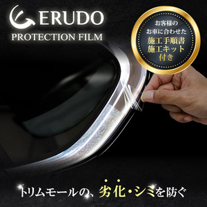 車種専用カット済保護フィルム　メルセデスベンツ　Sクラス セダン ロング 【W222型】年式H29.8-R2.12　トリムモール