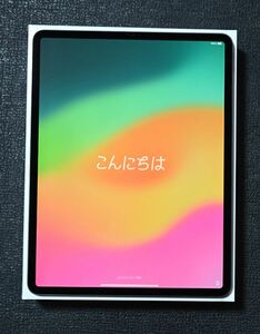 ☆Apple iPad Pro 12.9インチ (第4世代) Wi-Fi 256GB スペースグレイ 電源アダプタ&ケーブル未使用☆