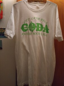 激レア　80s 90s フルーツオブザルーム ビンテージ vintage coda バンドT ロックT プログレ Tシャツ 古着 メッセージT ピンクフロイド old 