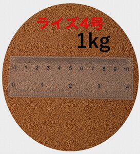日清丸紅飼料 ライズ4号 1kg (500g×2袋) (粒径0.58～0.84mm) 小分け品 メダカ めだか エサ 餌