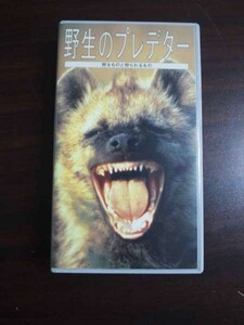 【VHS】 野生のプレデター 狩るものと狩られるもの 日本語吹替版