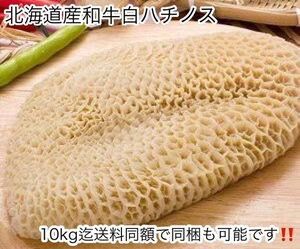 新鮮!!北海道産和牛白ハチノス刺し!!約300gトリッパ料理にも!!冷凍 ホルモン 焼肉 トリッパ BBQ バーベキュー 10kg迄送料同額同梱可！！