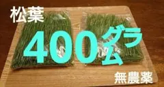 黒松 松葉 400g 松の葉