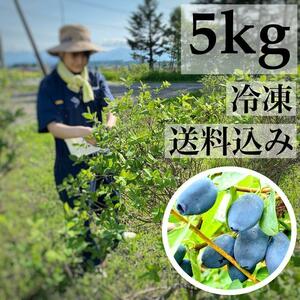 【2024年産】新鮮　ハスカップ　冷凍　5kg　送料込み