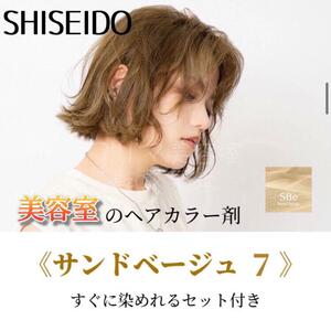 最安値！資生堂　ヘアカラー すぐに染めれるセット（ショート・メンズヘア用）サンドベージュ7