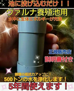 錦鯉の病気がなくなります！品評会から絶賛【ヴァルナ池用】病原菌や感染症など有害物質を強力抑制！透明度もアップします！池に入れるだけ