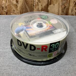 送料無料【Nた3344】TDK DVD-R 29枚入 120分 1-16倍速