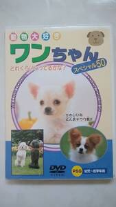 ＤＶＤ　犬「ワンちゃん」　ワンちゃんスペシャル５０