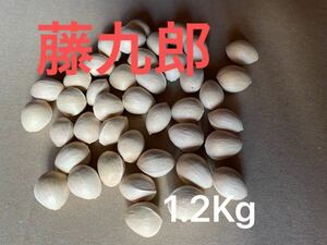 銀杏　藤九郎　1.2Kg