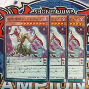 z4993☆遊戯王☆ 捕食植物トリアンティス 3枚 ノーマル DIFO プレデター・プランツ