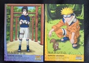 NARUTO　ジャンプフェア 2004 アニメイト　ポストカード　２枚