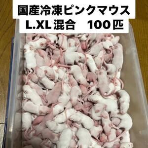 国産冷凍ピンクマウスL.XL 4.0g〜6.5g 混合100匹 送料別