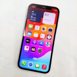 中古 iPhone12Pro 256GB　MGM93J/A グラファイト SIMフリー バッテリー79％　判定〇