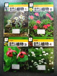 ◆ 高原と高山の植物 ①～④ 全 4巻　清水 建美 著　/ 図書館の廃棄処分のものです、 使用品 /　□送料無料